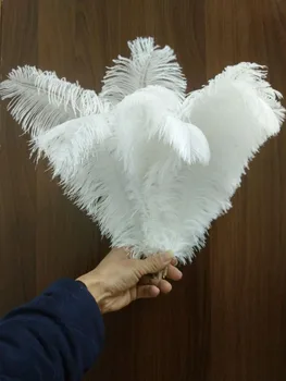 10-100 vnt kokybės balta stručio plunksnos, 14-16 cm / 35-40 cm, 