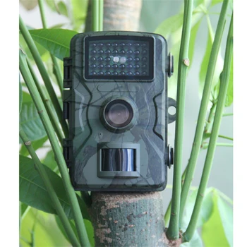 1080P Medžioklės Kameros Laukinės gamtos Nuotraukų Gaudyklė, Centrinis DL001 Belaidės Stebėjimo Stebėjimo Takas Kamera Fiksuoti Nuotraukas Įrankiai