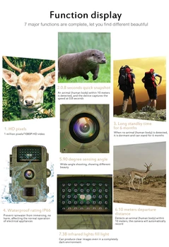 1080P Medžioklės Kameros Laukinės gamtos Nuotraukų Gaudyklė, Centrinis DL001 Belaidės Stebėjimo Stebėjimo Takas Kamera Fiksuoti Nuotraukas Įrankiai