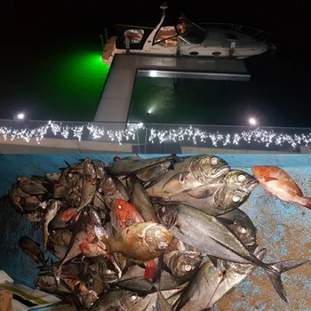 12V Žvejybos Šviesos 108pcs 2835 LED Povandeninės Žūklės Šviesos Lempos IP68 Jaukų Žuvų Ieškiklis Lempos Traukia Krevetės, Kalmarai Krilių LED Lempos