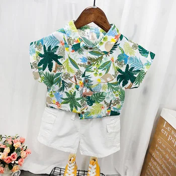 2020 metų Vasaros Berniukas Drabužiai Kostiumas trumpomis Rankovėmis Marškinėliai, Šortai 2vnt Rinkinys Vaikams Laisvalaikio Drabužių Rinkinį Lapų Paplūdimio Havajų Atostogų Stilius