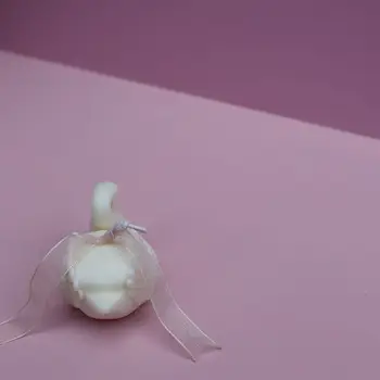 3D Elegantiška Swan Formos Žvakė Pelėsių Kūrybos Gyvūnų Baltoji Gulbė Silikono, Vaško Liejimo Rankų darbo Muilas Gipso Formų