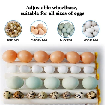 48 Kiaušinių Peryklos Inkubatorius Brooder Mašina Peryklų, Vištienos Automatinė Kiaušinių Inkubatorius Paukščių Putpelių Brooder Ančių, Žąsų Ūkių Namų