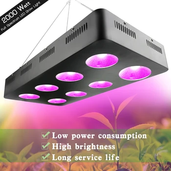 500W/1000W/1500W/2000W COB LED Grow Light Visą Spektrą Patalpų Šiltnamio efektą sukeliančių Hydroponics Gėlės Medicinos Augti Palapinė LED Šviesos