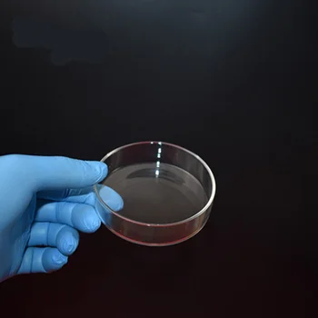 5VNT Aukštos Kokybės Stiklo Petri Lėkštelėje Lab Plokštelės Bakterijų, Mielių Skersmuo 60MM