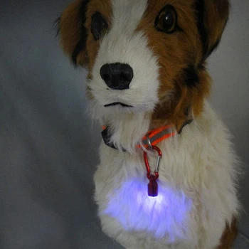 5vnt/Daug Augintinio Antkaklio Pakabukas LED šunų antkaklis Naktį šviesos pakabukas saugumo šviesos pakabukas Apykaklės naminių reikmenys šunų reikmenys