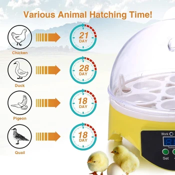 7 Kiaušinių, Vištienos Inkubatorius Paukščių Kiaušiniams Perinti Mašina Automatinė Protingas Temperatūros Kontrolės Putpelių Papūga Brooder Ūkio Reikmenų