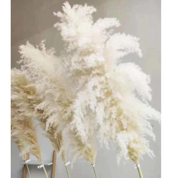 80cm Vestuvių Specialus Pampos Žolė Dekoro Didelio Dydžio Pūkuotas Plunksna, Vestuvių Gėlės, Augalai, Natūralus Baltas Džiovintos Gėlės