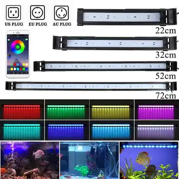 Akvariumas Žvejybos, LED Apšvietimas, 