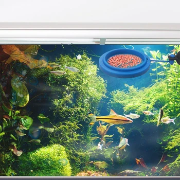 Akvariumo Bakas Automatinė Žuvų Finansuojančiojo Žuvų Bakas Elektroninių Maistu Šerti Prietaiso Auto Namų Maisto Dozavimo Įrankis