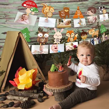 Baby Shower Miško Foto Dispaly Reklama Miško Pelėda Meškėnas Fox Animacinių Filmų Gyvūnų Sienos Kabo Reklama Vaikas, Gimtadienio Prekes