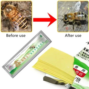 Bičių Stick Bazė Išlikimo Vabzdžių Kenkėjų Galima Pašalinti, Veiksmų Bičių Žalia Acaroid Erkutės