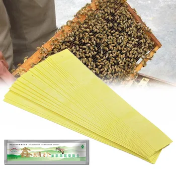 Bičių Stick Bazė Išlikimo Vabzdžių Kenkėjų Galima Pašalinti, Veiksmų Bičių Žalia Acaroid Erkutės