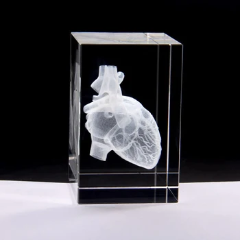 Crystal 3D Lazeris Širdies Anatomija Modelis Kubo Miniatiūrinės Figūrėlės Ligoninės Ekranas Suvenyrai