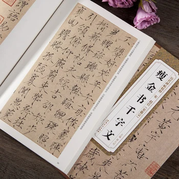 Daina Zhao Bį Daina Hui Zong Shou Jin Shu Qian Zi Wen teptuku Kaligrafija Copybook Suaugusiems Vaikams