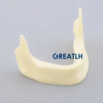 Dantų Apatinio Žandikaulio modelio Implantas Užsiimti Dantų Modelio M2025 kaulų, pavyzdžiui, Dantų, Dantų implantas Pratise Modelis