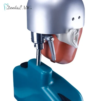 Dantų simuliatorius manikin phantom galvos, Dantų galvos maketo modelis su nauju stiliumi suolo tvirtinimas stomatologas švietimo