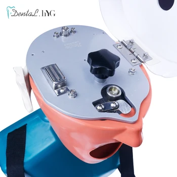 Dantų simuliatorius manikin phantom galvos, Dantų galvos maketo modelis su nauju stiliumi suolo tvirtinimas stomatologas švietimo