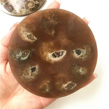 Didmeninė 1PC 10cm Ammonite Iškastinio Gabalas Plokštė 