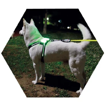 Dogled panaudoti Naminių gyvūnų Produktų dėl Didelės 7 in 1 spalva Šuns Pakinktai Žėrintis USB Led Antkaklis Šuniukui Švino Augintiniai Vest Šunį Veda