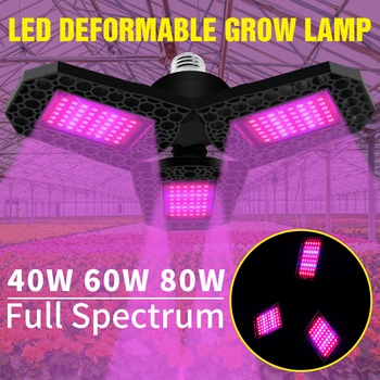 E27 Augti Šviesos diodų (LED) Fitolampy 220V viso Spektro Led Augalų Lempos E26 Augimo Palapinė 40W 60W 80W Gėlių Sėklos Lampada LED Augalų Lemputė