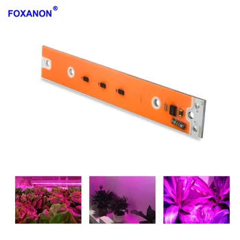 Foxanon 30W 50W 80W LED Fito Lempa viso Spektro LED Grow Light 110V, 220V Led Diodų COB (Chip Lempos Augalų Pasėlių Auginimo