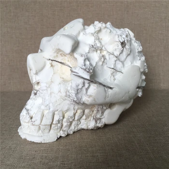 Gamtos cranium Magnezitas kvarco kristalo Akmenys vestuvių namų puošybai čakrų gydymas Halloween 