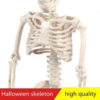 Helovinas apdailos skeletas Velnio nuotaka jaunikis modelis haloween dekoro siaubo namai rekvizitai šalis, priedai, reikmenys baisu