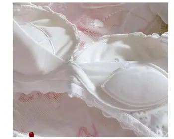 Japonijos Sexy Push Up Kelnaitės ir Liemenėlė Nustatyti Nėrinių Apatiniai Moterų Plius Dydžio Baltos spalvos Kawaii apatinis Trikotažas Lolita Girl Paaugliams Siuvinėjimo 2020 m.