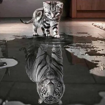 KAKUDER katė atspindys tigras 