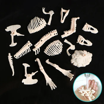 Kasti ir atrasti dinozaurų Skeletas kasimo rinkinys.ekstraktas kaulai iš molio blokas su kasimo įrankiai, Kūrybiniai Žaislai