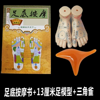 Kinų Medicina Užrašu Pedikiūro Akupunktūra Taškų Atspindys Plotas Padais Pėdų Masažas Modelio Koja Taško Acupoi 1 Pora