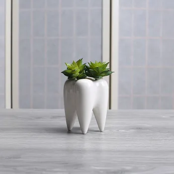 Kūrybos sultingi keramikos vazonas Namų Bakalėja, Baltas Mini Augalų, Gėlių Vazonas Nonporous