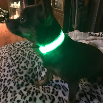 LED Naminių Šunų Antkaklis Honden Halsband Baterija arba USB Įkrovimo Šuns Pavadėlio Luminou Liuminescencinės Apykaklės Perro Mirksi A02