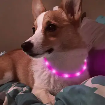 Led USB Šunų Antkaklis Naminių Šunų Antkaklis Naktį Šunų Antkakliai Žėrintis Šviesos Įkraunamas LED Naktį Saugos Mirksi Švyti