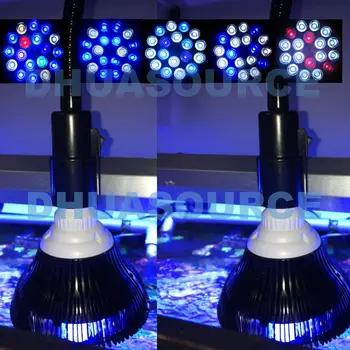 LED Šviesos Akvariumas Pet Lempa Augalų Lemputė 50/54W Jūros Jūrų Moralės Rifas Karterio Dumblių Nano Bakas