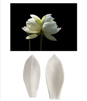 Lotus Gėlės Žiedlapis Veiner Silikono Formos 