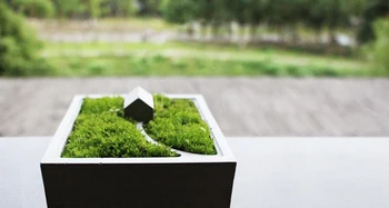 Microlandschaft vaza silikono formos betono mini namelis sodinamoji pelėsių darbastalio Apdaila cemento mutis-mėsos gėlių vaza pelėsių