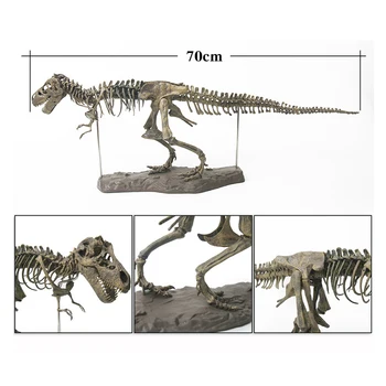 Modeliavimas Gyvūnų Modelis 4D Tyrannosaurus Rex Kasimo Mokslo Rinkinį Kasti Iki Dinozaurų Surinkti Skeletas Senovės Iškastinio Kaukolė Žaislai