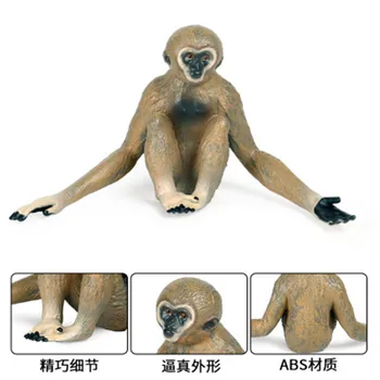 Modeliavimo Laukinių Gyvūnų Modelio Žaislinių Figūrėlių, Gibbon Orangutan Beždžionė Švietimo Žaislas Modeliavimas Vaikams Kalėdų Duomenys