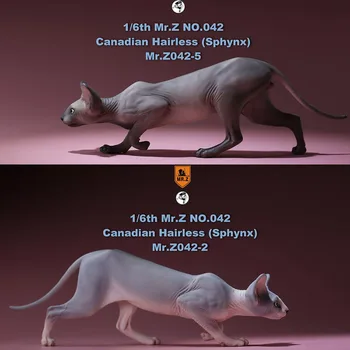 Mr. Z Nr. 040-BS 1/6 Masto Kanados Beplaukiai katė sfinksas imitavimo modelį žaislas gyvūnų statinio modelį, 12 
