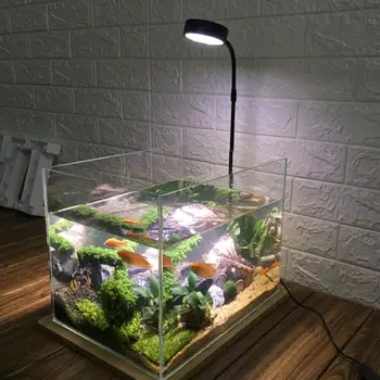 Namuose Su Medžio Lenta Vazoninių Augalų Šilumos Izoliacija, Visiškai Žuvų Bakas Miniatiūrinės Kraštovaizdžio 10W Stabdžių Vabzdžių Akvariumas LED Šviesos