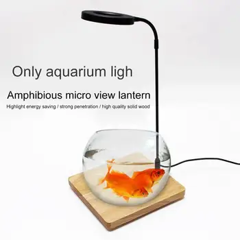 Namuose Su Medžio Lenta Vazoninių Augalų Šilumos Izoliacija, Visiškai Žuvų Bakas Miniatiūrinės Kraštovaizdžio 10W Stabdžių Vabzdžių Akvariumas LED Šviesos