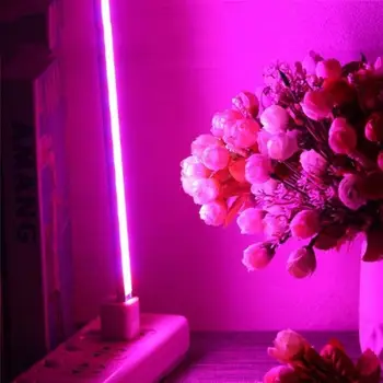 Namų Patalpų Šiltnamio efektą sukeliančių USB LED Augalų Auga Šviesos Stalas Augalų Augimo Lempos phytolamp augalai, gėlių sėklos auga palapinė smulkūs įrankiai