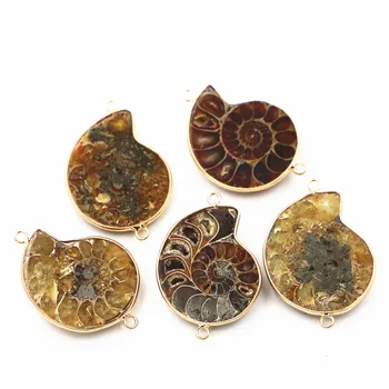 Natūralaus Akmens Ammonite Sraigė Seashell Fosilijos Jungtys Karolius, Papuošalai Priedai Priėmimo Dropshipping Didmeninė 5vnt