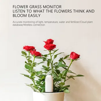 Originalus Tarptautinė Versija Xiaomi Mi Floros Stebėti Skaitmeninės Augalai, Žolės, Gėlių Priežiūra, Dirvožemio Vandens Testeris Jutiklis Augalų Detektorius
