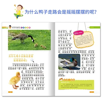 Pilnas Komplektas 8-Tai Vaikų Fonetinė Versija shi wan Kodėl pradinėje Mokykloje Versija užklasinę Knygos Kinija Nepilnamečių ir VAIKŲ