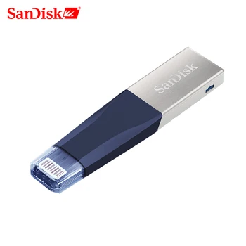 Sandisk Pen Ratai 256 GB USB3.0 OTG USB 