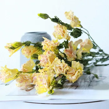 Spalvotų Natūralių Džiovintų Eustoma Grandiflorum Gėlės Nekilnojamojo Puokštė Floristas Gėlių Išdėstymas Šalies Namų Dekoro