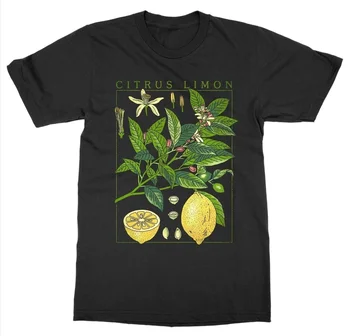 Sunfiz YF 2019 Trumpas Rankovės O-Kaklo citrinų Augalų T-Shirt Botanikos Sodo Spausdinti Meno Botanika Žydi Vaisių, Gėlių marškinėliai